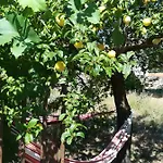 Solar Dos Carvalhos Panzió Sernancelhe