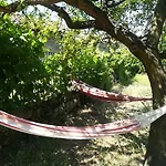 Solar Dos Carvalhos Отель типа 