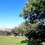 Solar Dos Carvalhos Panzió