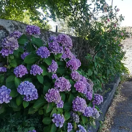 Solar Dos Carvalhos 3* Sernancelhe