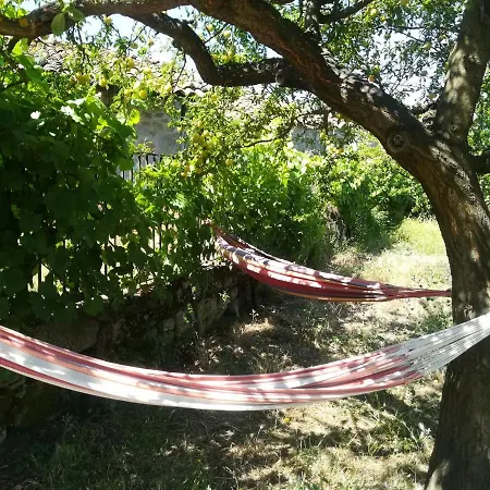 Solar Dos Carvalhos Bed & Breakfast Sernancelhe