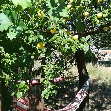 Solar Dos Carvalhos Frühstückspension Sernancelhe