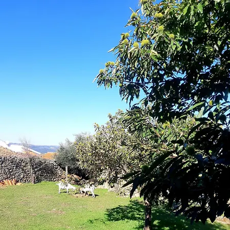 Solar Dos Carvalhos *