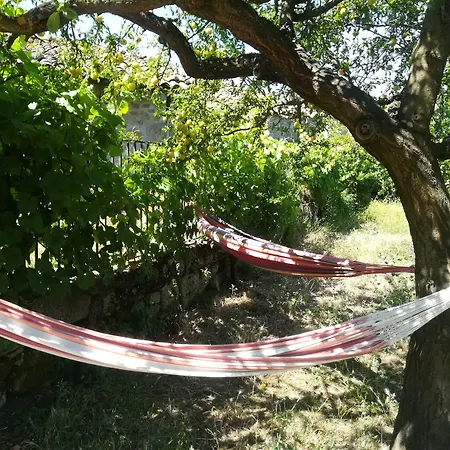 Solar Dos Carvalhos Bed and Breakfast