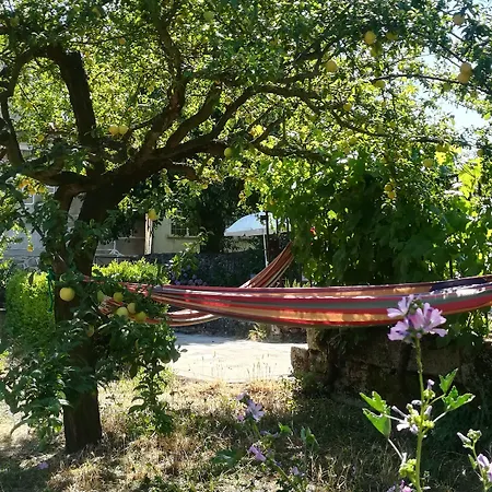 Solar Dos Carvalhos Alojamento de Acomodação e Pequeno-almoço