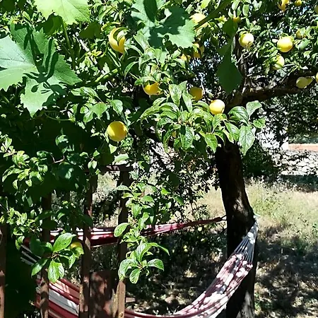 Solar Dos Carvalhos Couette-café 3*
