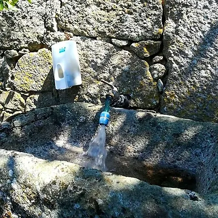 Solar Dos Carvalhos 3*
