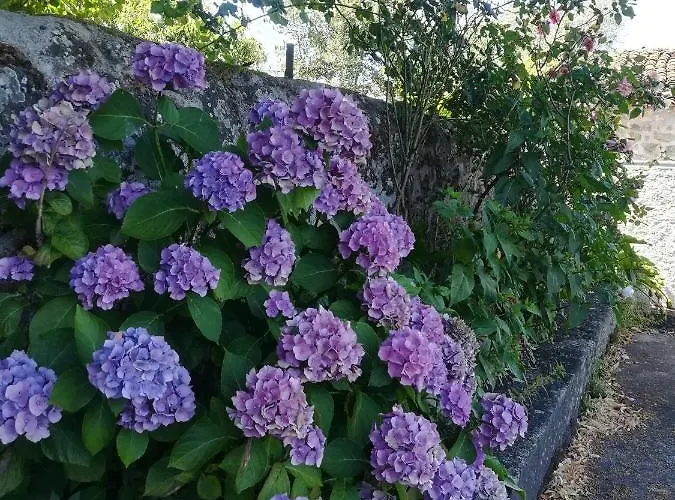 Solar Dos Carvalhos 3* Sernancelhe