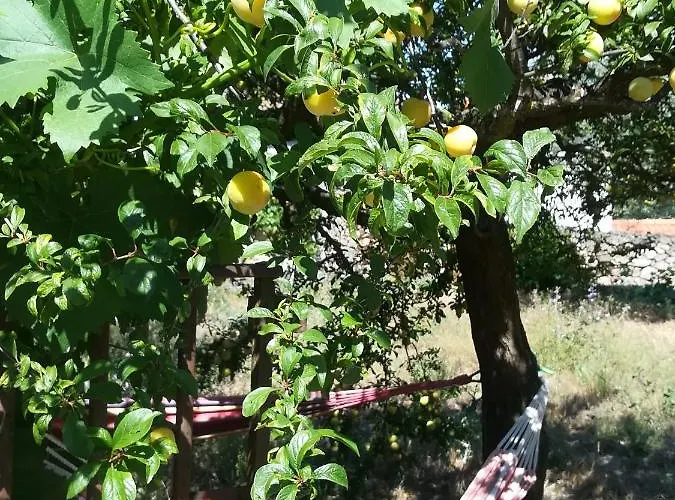 Solar Dos Carvalhos לינה וארוחת בוקר Sernancelhe