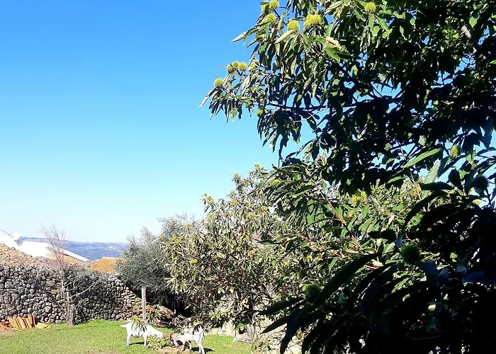 Solar Dos Carvalhos 3*