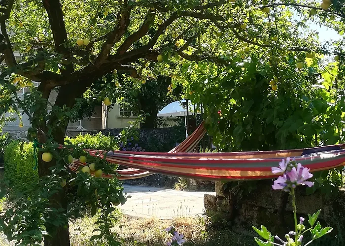 Solar Dos Carvalhos Отель типа 